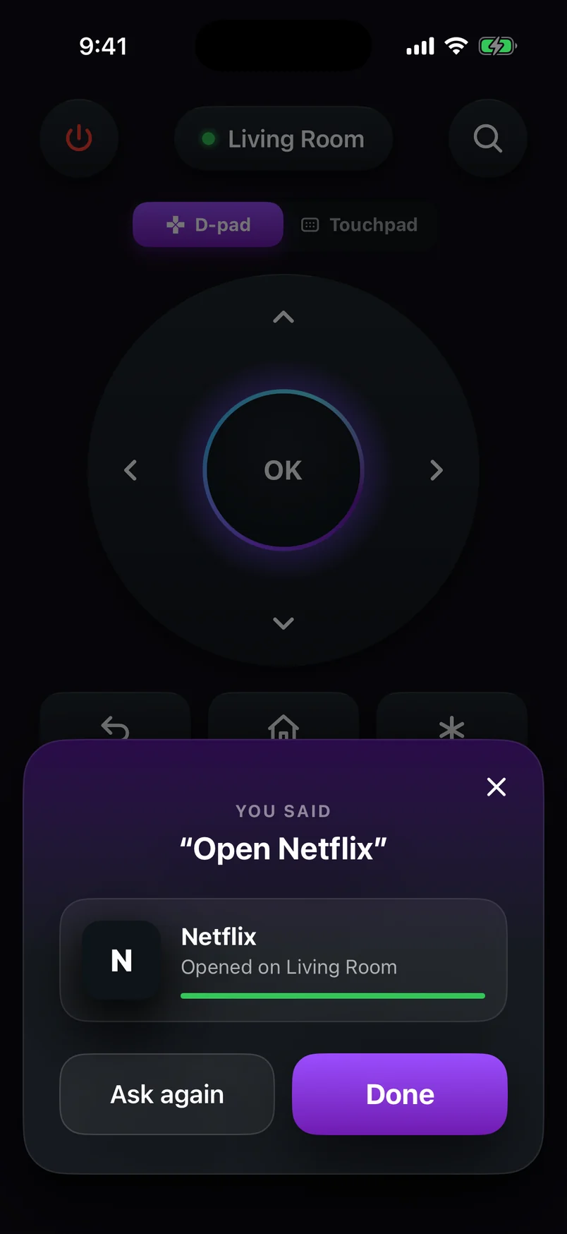 Voice command result: Netflix opened on the Living Room Roku