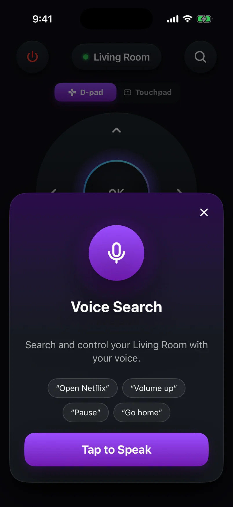 Voice Search sheet with example commands such as Open Netflix, Volume up and Go home